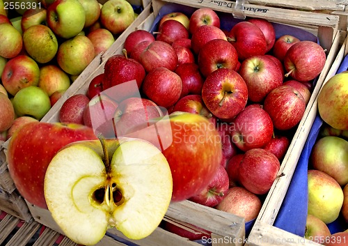 Image of apples at a street sale