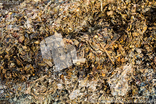 Image of silage fodder