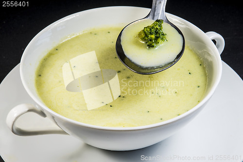 Image of Broccoli cream soup