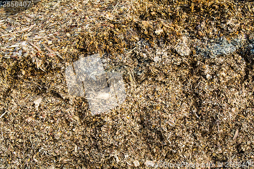 Image of silage fodder