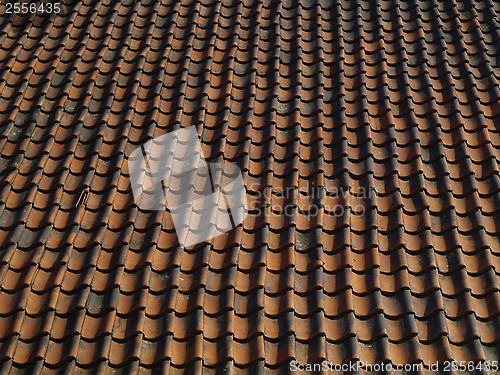 Image of Roof pattern
