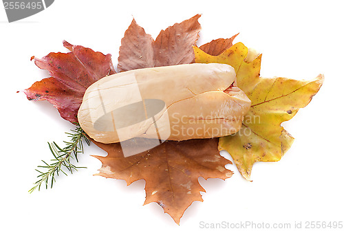 Image of foie gras on leaf