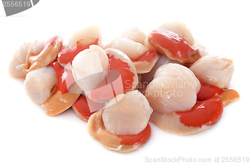 Image of great scallops