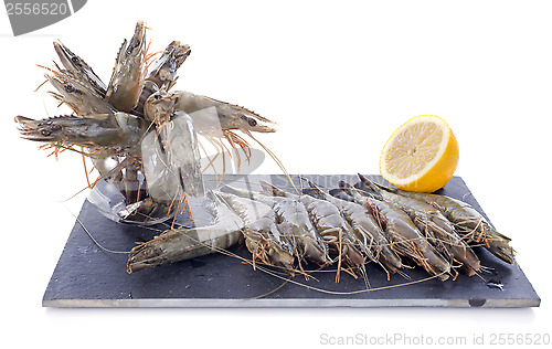 Image of raw gambas