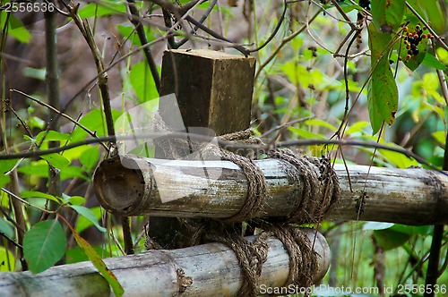 Image of detail of old bamboo fence