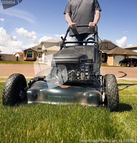 Image of Mow the lawn