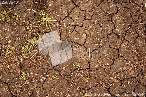 Image of Closeup of dry soil texture
