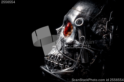 Image of Skull of a human size robot
