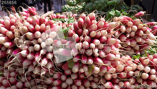 Image of Fresh Radish