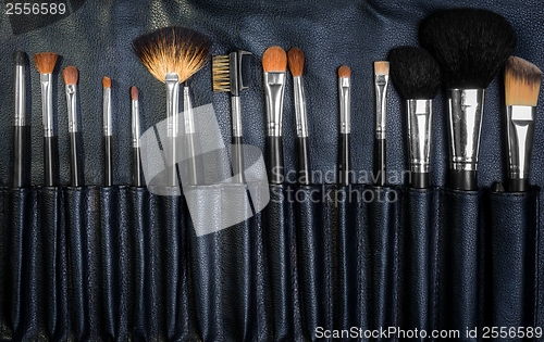 Image of Makeup Tools in a leather case