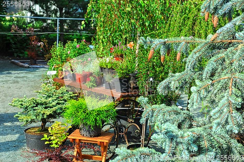 Image of Landscaping