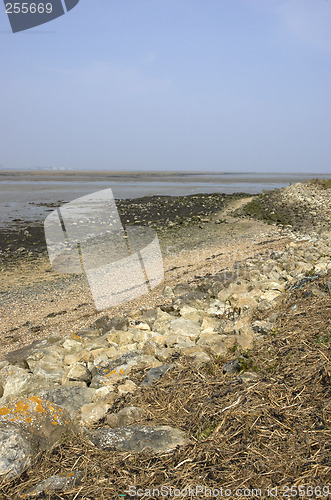 Image of River estuary