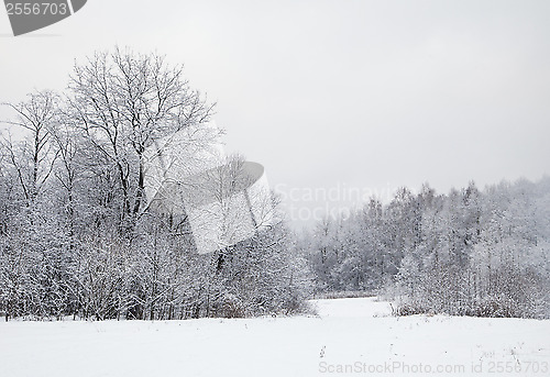 Image of Winter alley