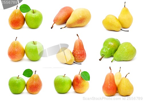 Image of Pears
