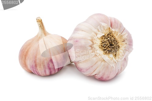 Image of Garlic