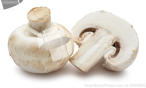 Image of Champignon mushrooms