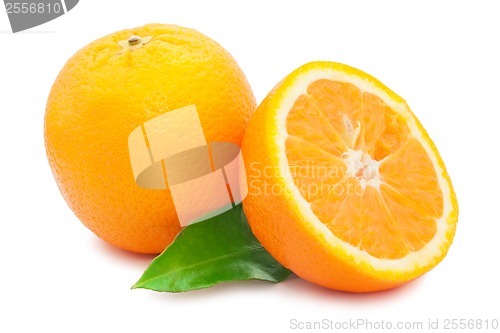 Image of Orange