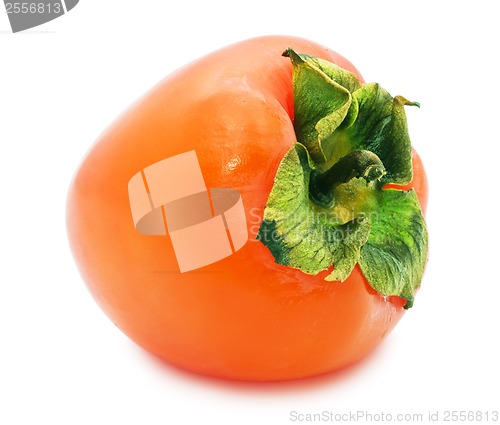 Image of Persimmon