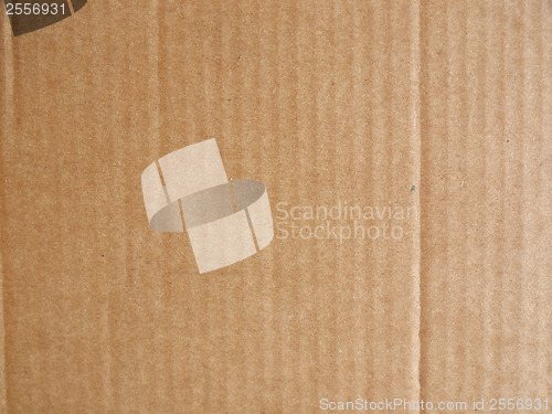 Image of Cardboard