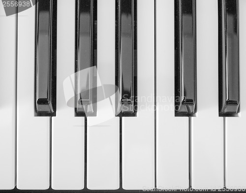 Image of Music keyboard keys