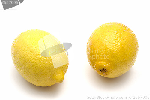 Image of Fresh lemons