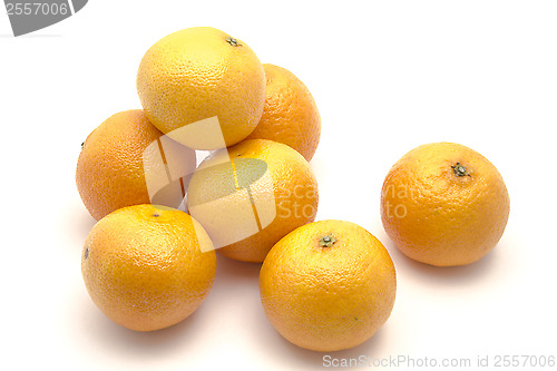 Image of Mandarin 