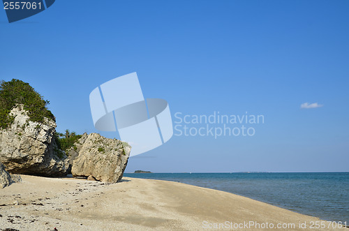 Image of Rocky tropical coast