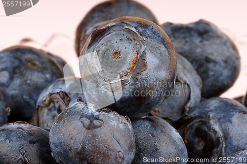 Image of Blueberry macro