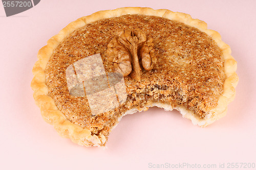 Image of Bitten mini walnut tart