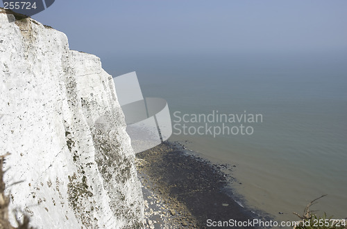 Image of White cliffs of Dover