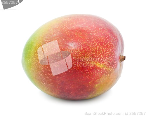 Image of Mango