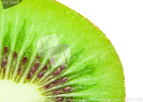 Image of Kiwi