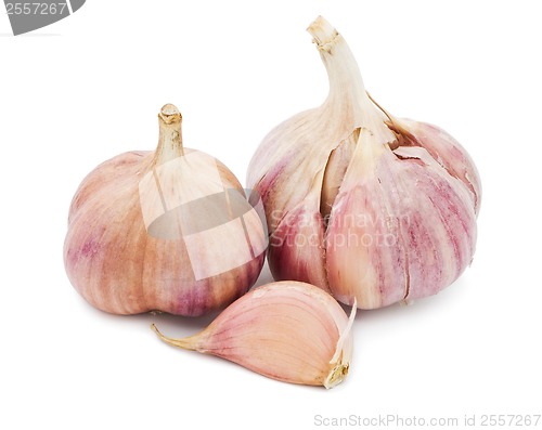 Image of Garlic