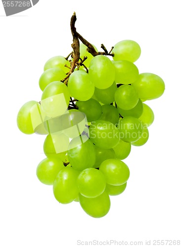 Image of Grapes
