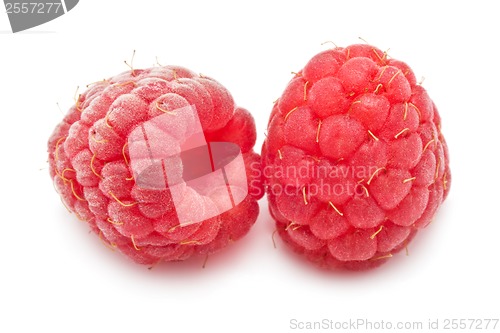 Image of Fresh raspberries