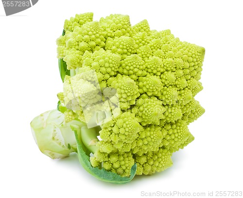 Image of Romanesco broccoli