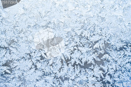 Image of Frost pattern