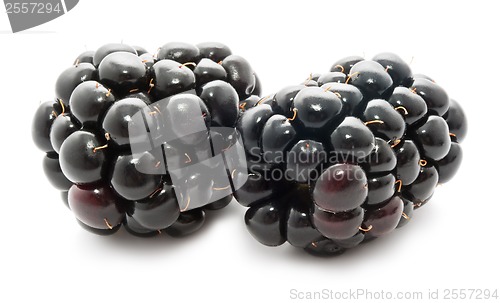 Image of Blackberry