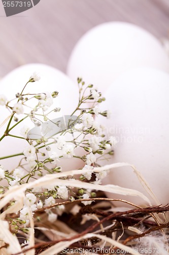 Image of Plain undecorated Easter eggs in a nest