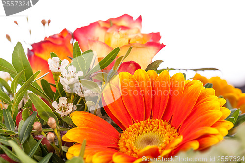 Image of Vivid orange gerbera daisy in a bouquet