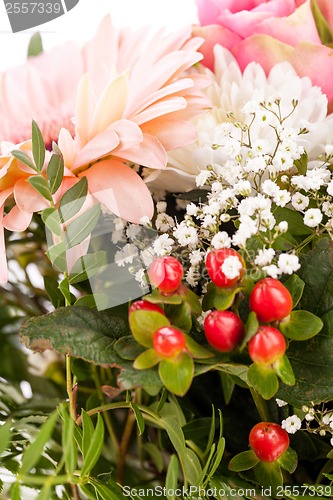 Image of Bouquet of fresh pink and white flowers