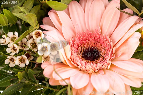 Image of Bouquet of fresh pink and white flowers