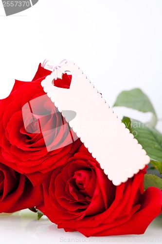 Image of Valentines gift of beautiful red roses