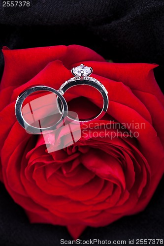 Image of Diamond engagement ring in the heart of a red rose