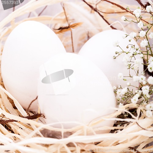 Image of Plain undecorated Easter eggs in a nest