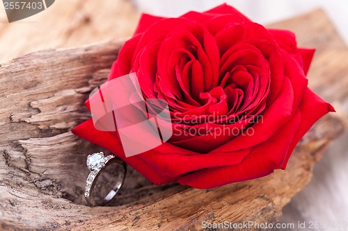 Image of beautiful ring on wooden background and red rose