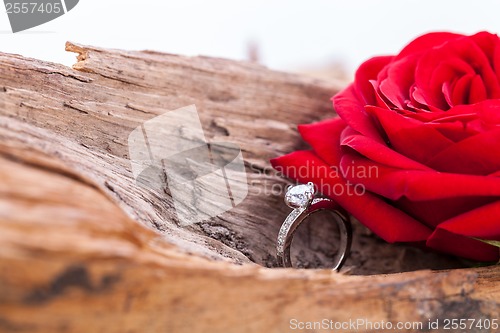 Image of beautiful ring on wooden background and red rose