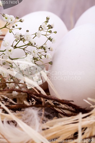 Image of Plain undecorated Easter eggs in a nest