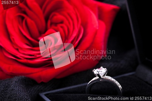 Image of red rose and diamond ring in a box 