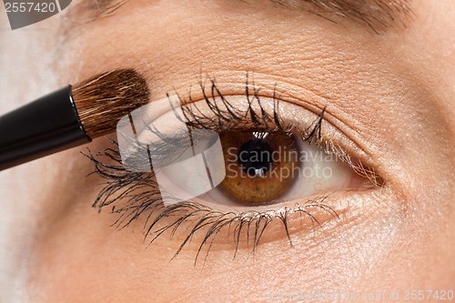 Image of doing the makeup brown eyeshadow on beautiful eyes